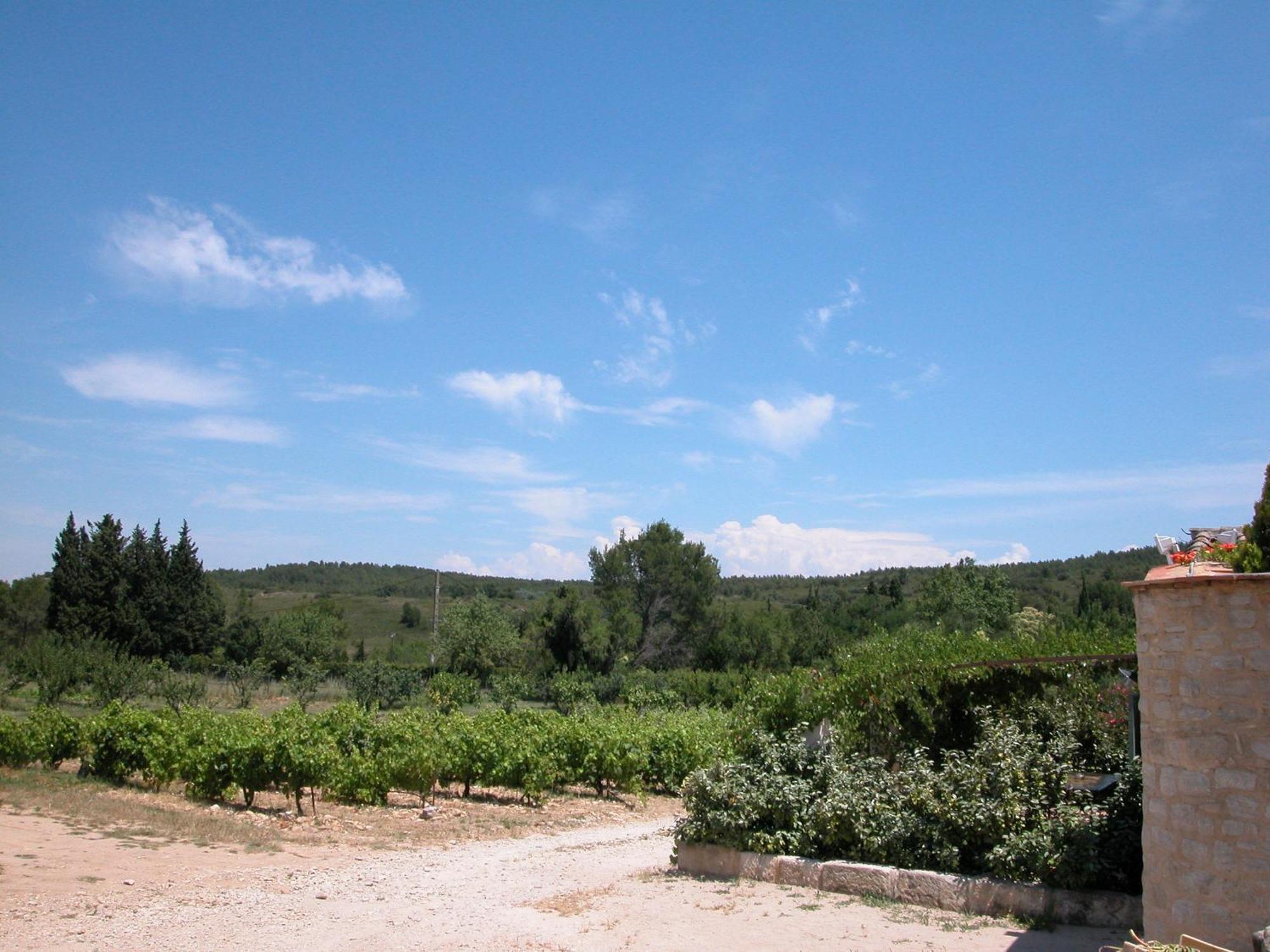 Bed and Breakfast Le Mazet De La Dame Barbentane Exterior foto